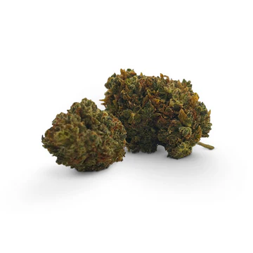 H3 Blueberry Mojito Blüte